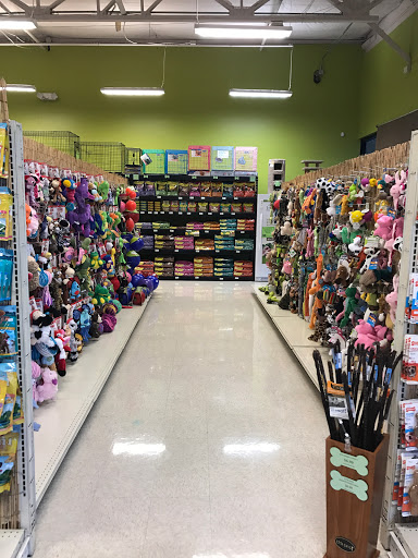 Pet Supply Store «Pet Club S Avondale», reviews and photos, 11435 W Buckeye Rd a106, Avondale, AZ 85323, USA