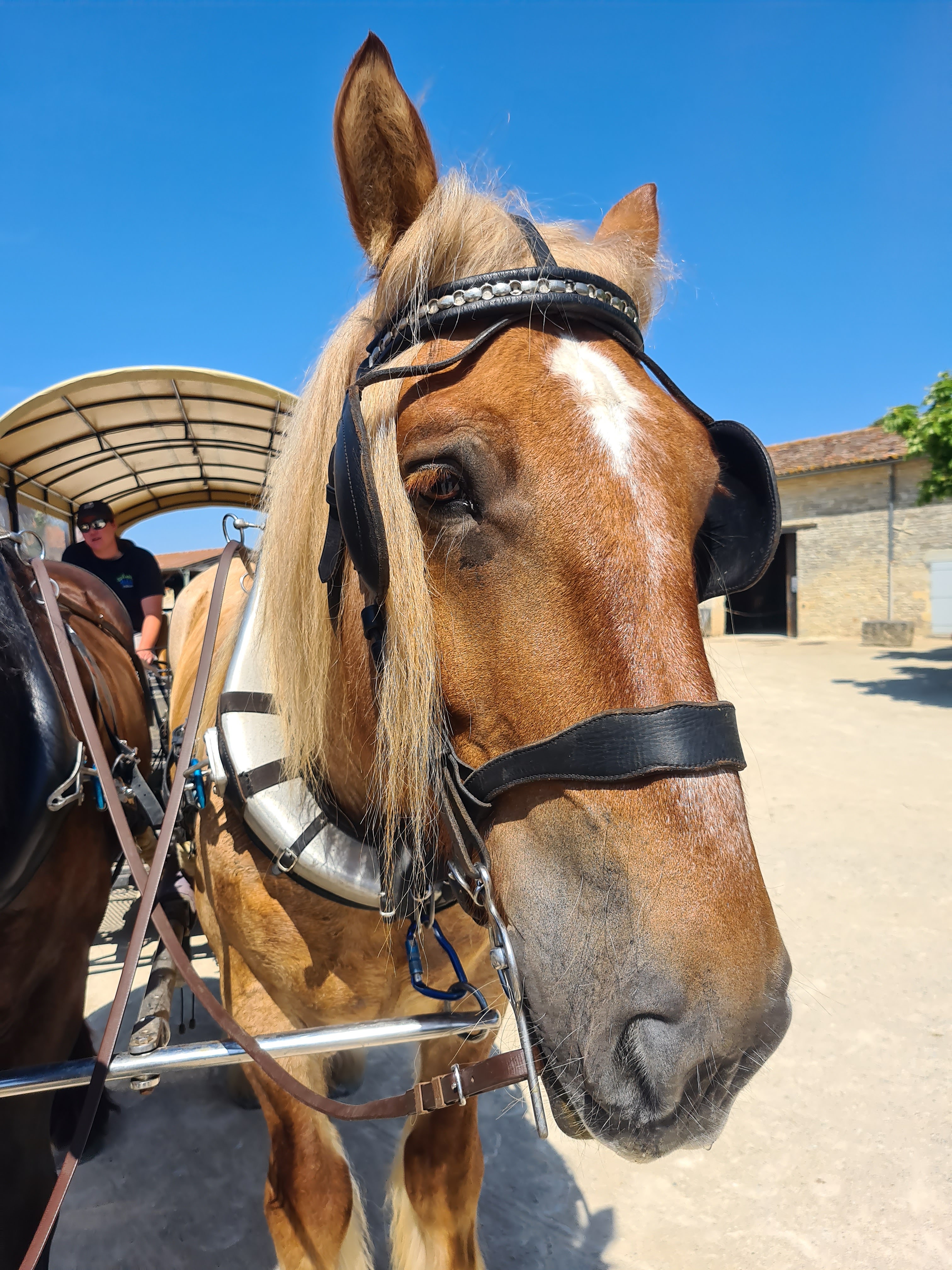 Photo n° 11 de l'avis de Sam.a fait le 08/07/2023 à 20:46