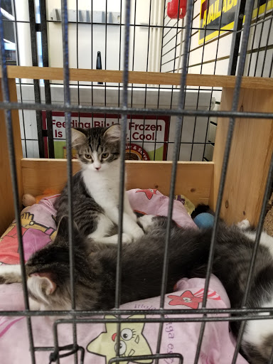 Pet Supply Store «Pet Supplies Plus», reviews and photos, 7315 Mentor Ave, Mentor, OH 44060, USA