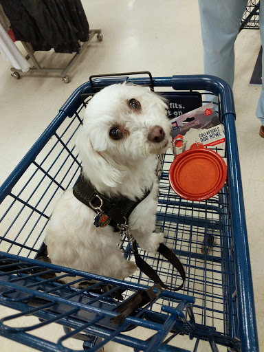 Department Store «Marshalls», reviews and photos, 3544-3584 Long Beach Rd, Oceanside, NY 11572, USA