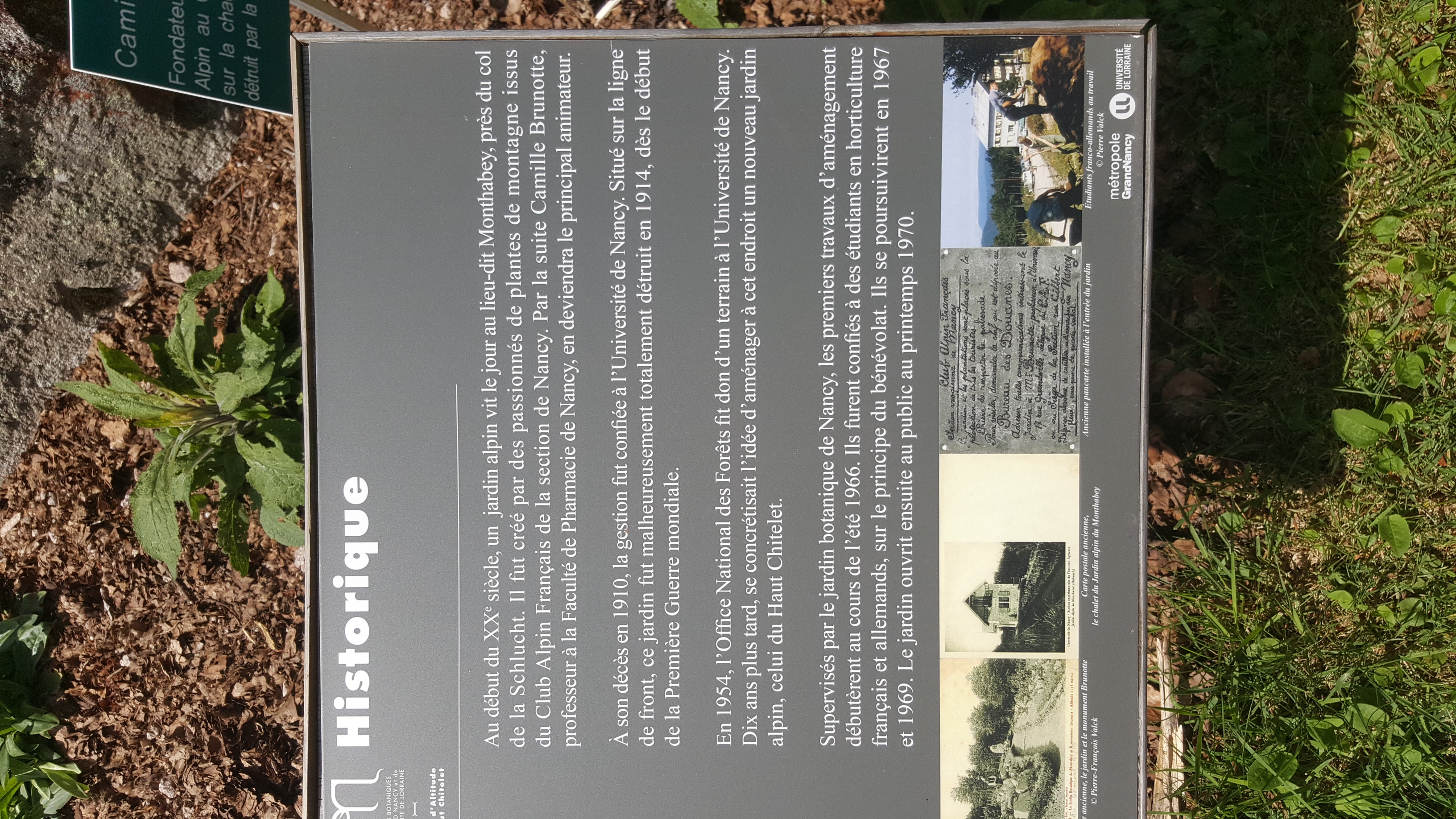 Photo n° 18 de l'avis de Jean-Sébastien.O fait le 23/06/2019 à 16:49