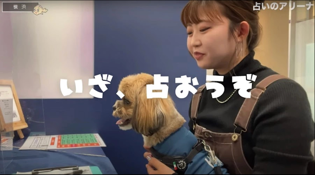 占いのアリーナ 横浜ベイクォーター店