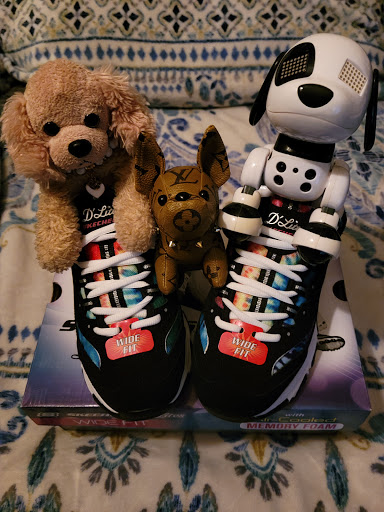 Shoe Store «Shoe Carnival», reviews and photos, 4835 W 77th St, Burbank, IL 60459, USA