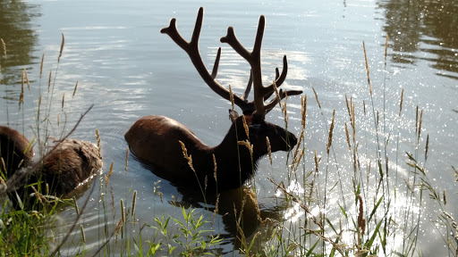 Park «Jester Park», reviews and photos, 11407 Northwest Jester Park Drive, Granger, IA 50109, USA
