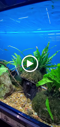 Pet Supply Store «Petco Animal Supplies», reviews and photos, 22 Peninsula Center, Rolling Hills Estates, CA 90274, USA