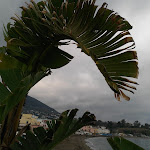 Photo n°30 de l'avis de lorella.o fait le 31/12/2017 à 14:05 sur le  Ristorante Bar da Coco' à Ischia