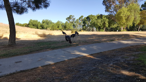 Golf Course «Delta View Golf Course», reviews and photos, 2232 Golf Club Rd, Pittsburg, CA 94565, USA