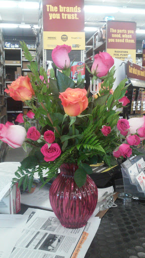 Auto Parts Store «Advance Auto Parts», reviews and photos, 1512 N Meridian St, Portland, IN 47371, USA