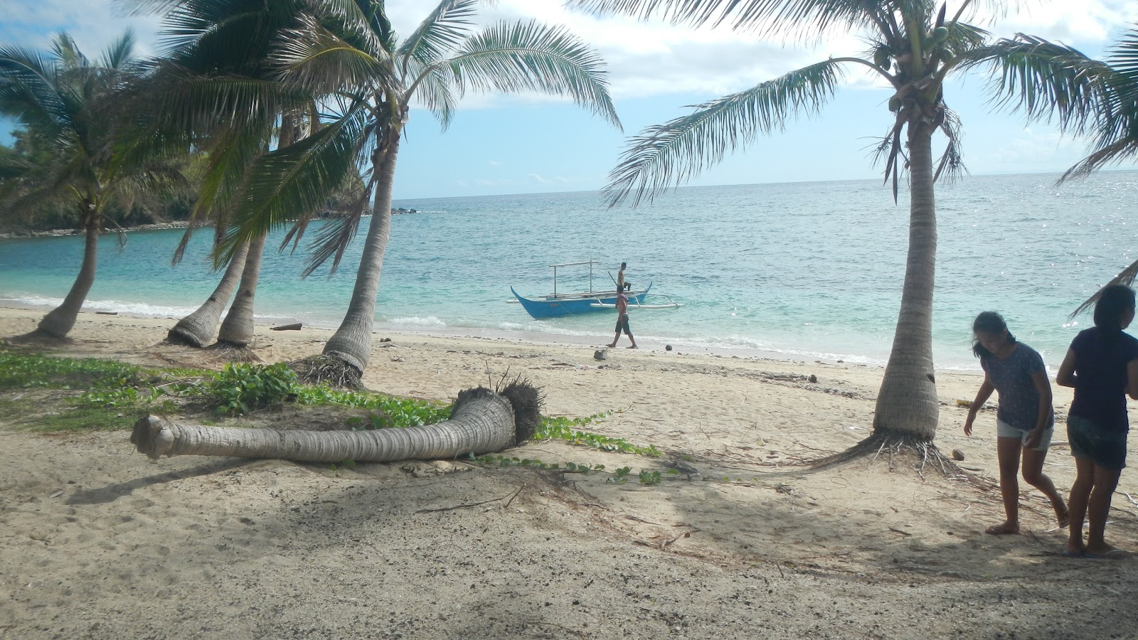 Photo de Polacay Beach - endroit populaire parmi les connaisseurs de la détente