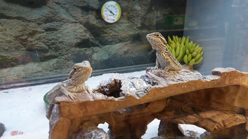 Pet Supply Store «Petco Animal Supplies», reviews and photos, 1753 St Lucie W Blvd, Port St Lucie, FL 34986, USA