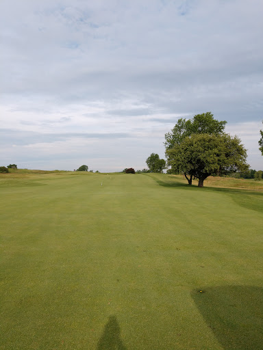 Public Golf Course «Hunters Ridge Golf Course», reviews and photos, 8101 Byron Rd, Howell, MI 48855, USA