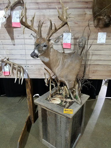 Taxidermist «HighPoint Taxidermy And Outfutters», reviews and photos, 14860 OH-13, Thornville, OH 43076, USA