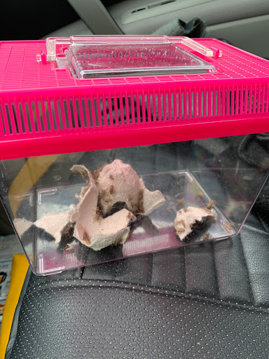 Pet Supply Store «Pet Supplies Plus», reviews and photos, 9848 Brewster Ln, Powell, OH 43065, USA