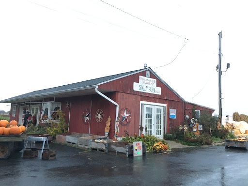 Produce Market «Solly Brothers», reviews and photos, 707 Almshouse Rd, Warminster, PA 18974, USA