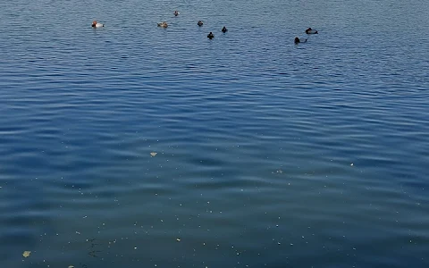 Lakhotiya Lake image