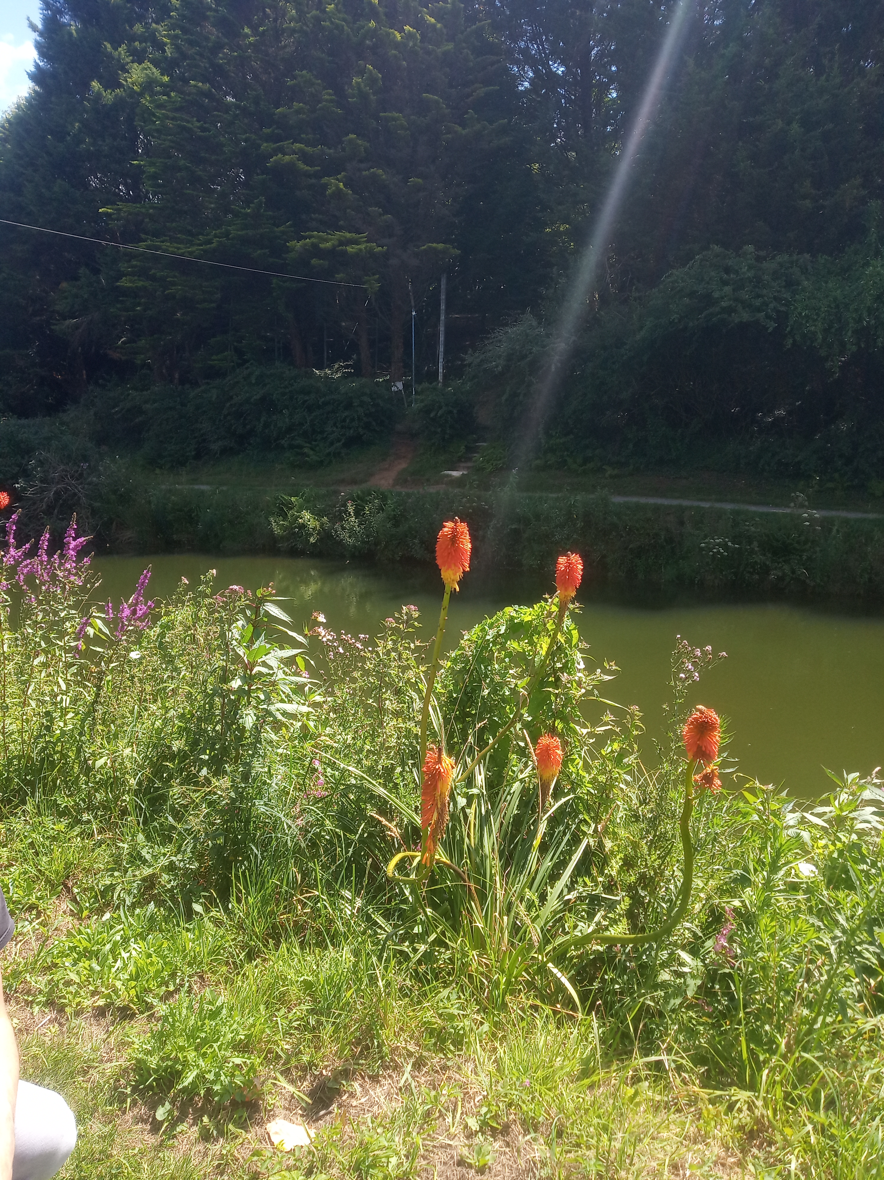 Photo n° 20 de l'avis de Lily. fait le 20/07/2020 à 15:39