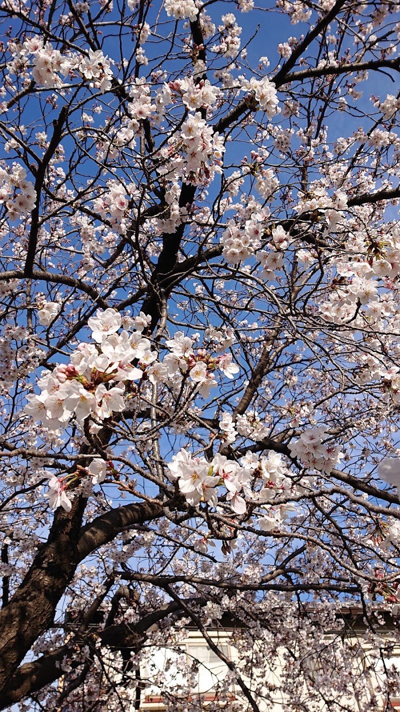 おおばやし公園