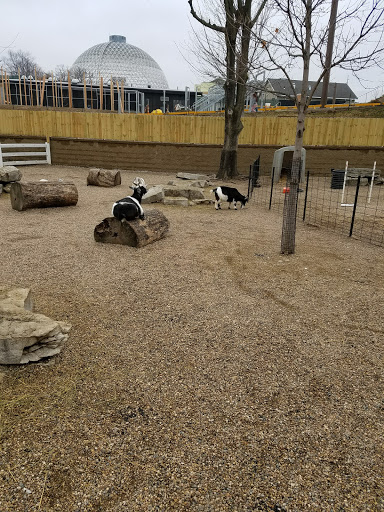 Zoo «Durhams Bear Canyon», reviews and photos, 3701 S 10th St, Omaha, NE 68107, USA