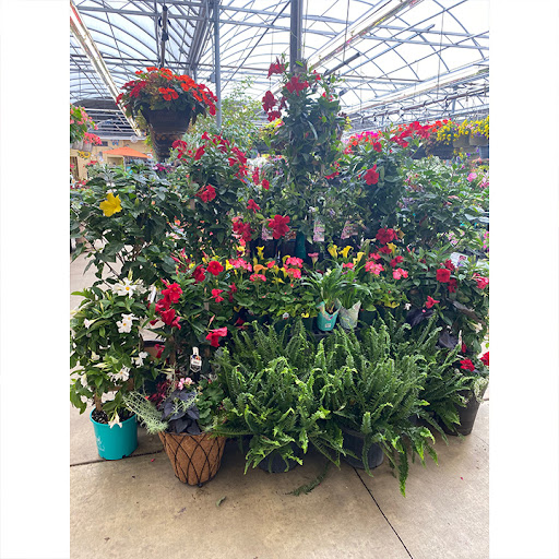 Garden Center «Stauffers of Kissel Hill Home & Garden Store», reviews and photos, 4450 Lincoln Hwy, York, PA 17406, USA