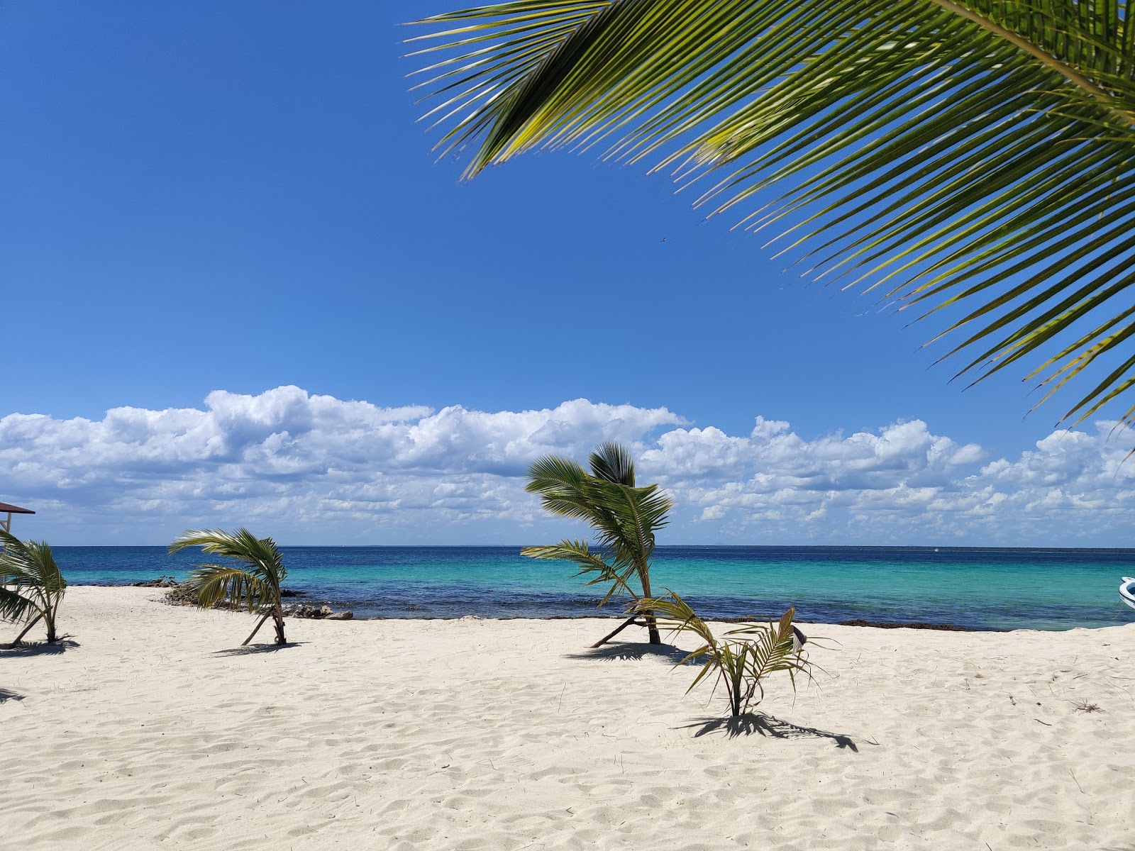 Foto di Spiaggia di Bonita con una superficie del acqua cristallina