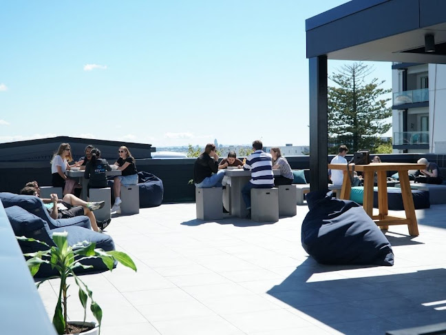 Reviews of ezyVet in Auckland - Website designer