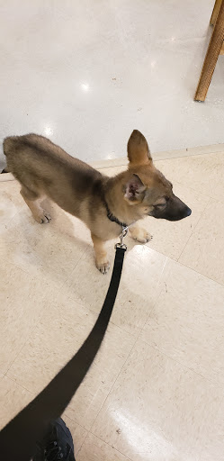 Pet Supply Store «Petco Animal Supplies», reviews and photos, 205 Palm Bay Rd NE #155, West Melbourne, FL 32904, USA