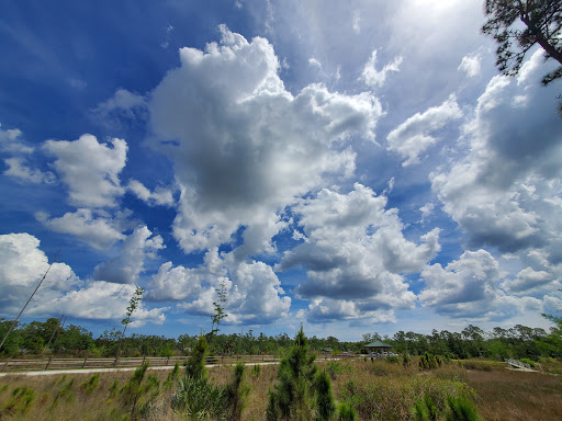 Nature Preserve «Cypress Creek Natural Area», reviews and photos, 10035 W Indiantown Rd, Jupiter, FL 33478, USA