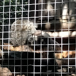 Photo n°45 de l'avis de Luana.o fait le 08/09/2022 à 12:40 sur le  Parc Gallorose à Loc. Cedrino