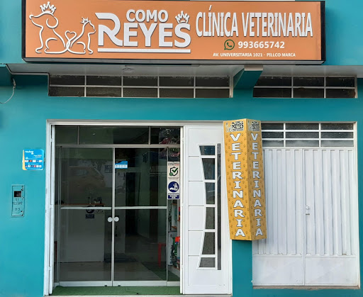 Clínica Veterinaria COMO REYES Huánuco