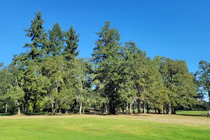 Tahoma Valley Golf Course image