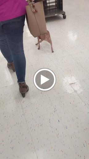 Pet Supply Store «Petco Animal Supplies», reviews and photos, 4950 S 76th St, Greenfield, WI 53220, USA