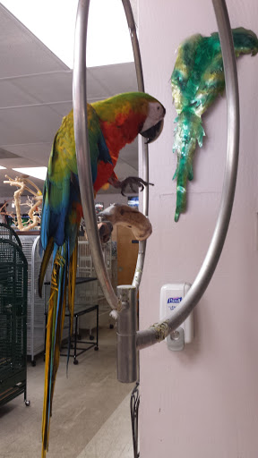 Bird Shop «Arizona Bird Store», reviews and photos, 565 S Dobson Rd, Mesa, AZ 85202, USA