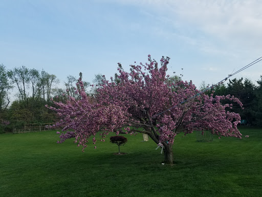 Golf Course «Charleston Springs Golf Course», reviews and photos, 101 Woodville Rd, Millstone, NJ 08510, USA