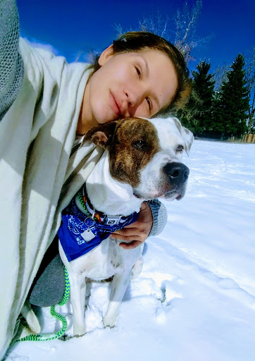 Park «Village Green Park», reviews and photos, 3590 N Carefree Cir, Colorado Springs, CO 80917, USA