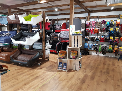 DOGSTYLER Sindelfingen unter Sindelfingen, 