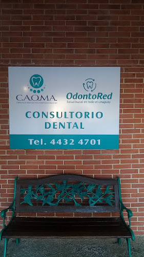 Opiniones de C.A.O.MA en Maldonado - Dentista