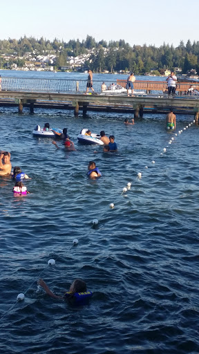 Park «Willard Wyatt Park», reviews and photos, 10508 Chapel Hill Rd, Lake Stevens, WA 98258, USA