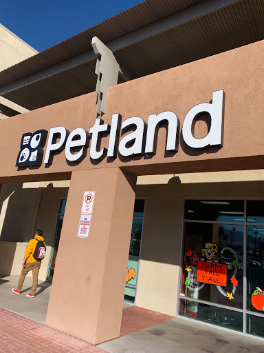 Pet Store «Petland Las Vegas», reviews and photos, 8800 W Charleston Blvd #3, Las Vegas, NV 89145, USA