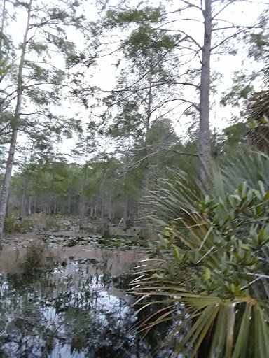 Nature Preserve «Karen T. Marcus Sandhill Crane Access Park», reviews and photos, 8175 PGA Boulevard, Palm Beach Gardens, FL 33418, USA