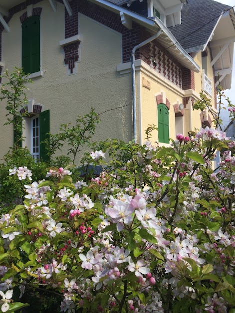 Les Papillons à Criel-sur-Mer (Seine-Maritime 76)