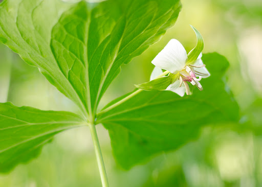 Park «Oxbow Park & Zollman Zoo», reviews and photos, 5731 County Rd 105 NW, Byron, MN 55920, USA