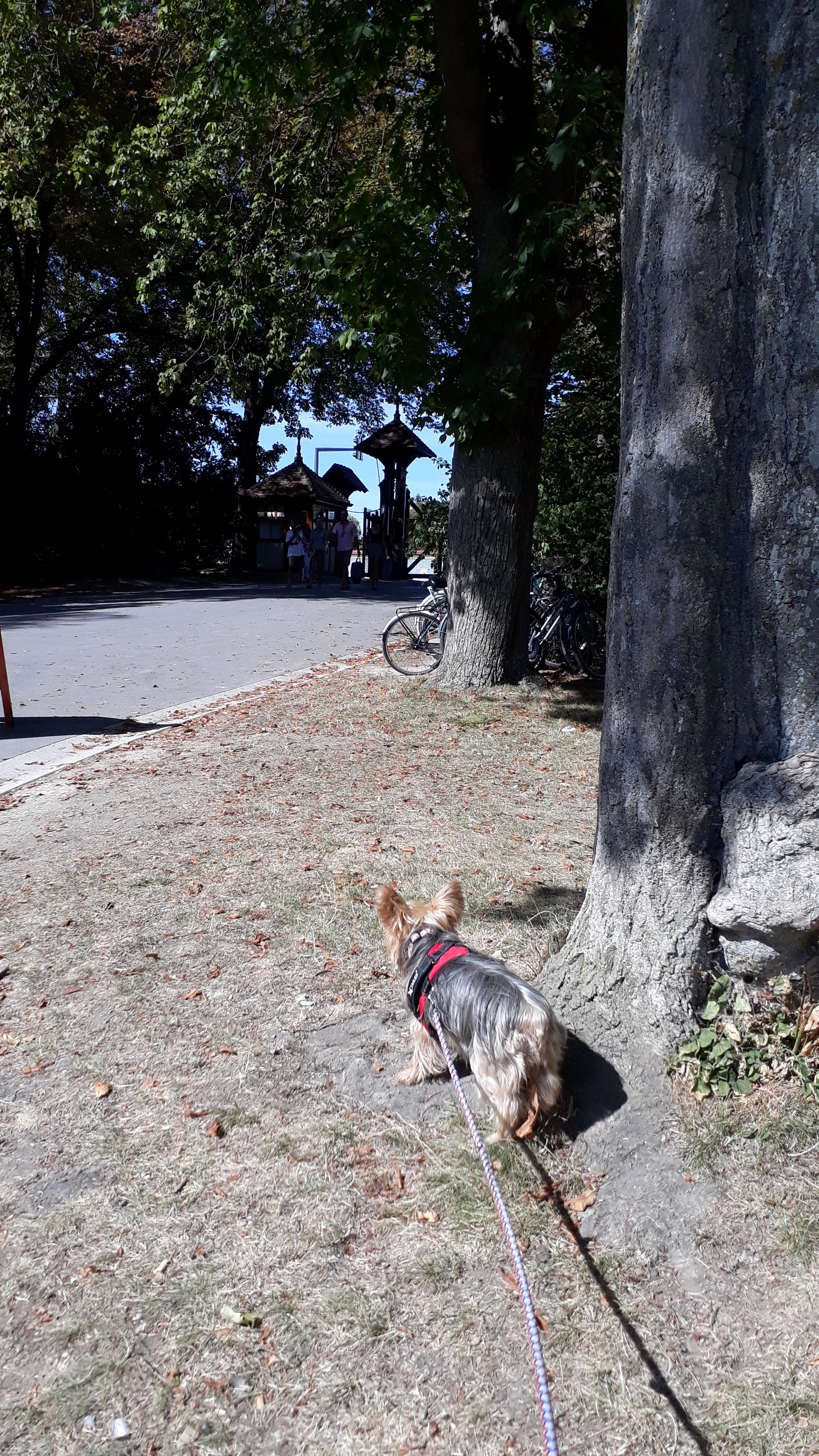 Photo n° 11 de l'avis de Veronique.a fait le 15/09/2019 à 13:59