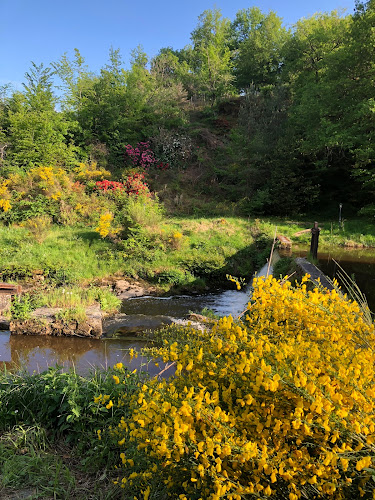 Gite du moulin du Chassaing à Condat-sur-Ganaveix