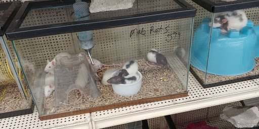 Pet Store «Teske Pet & Garden», reviews and photos, 2423 16th St, Moline, IL 61265, USA