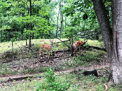 Park «Mills Reservation County Park», reviews and photos, Highland Ave, Cedar Grove, NJ 07009, USA