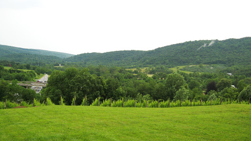 Winery «Chateau Obrien At North Point», reviews and photos, 3238 Railstop Rd, Markham, VA 22643, USA