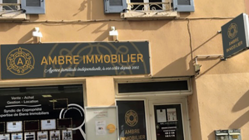 Agence immobilière AMBRE IMMOBILIER Les Roches-de-Condrieu