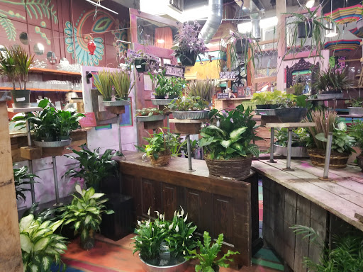 Florist «Brent Douglas - Flowers for everyday...», reviews and photos, 610 S Barstow St, Eau Claire, WI 54701, USA