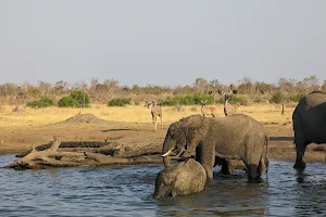 Hwange National Park image