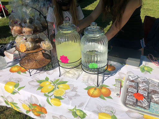 Flea Market «Neshanic Flea Market», reviews and photos, 100 Elm St, Branchburg, NJ 08853, USA